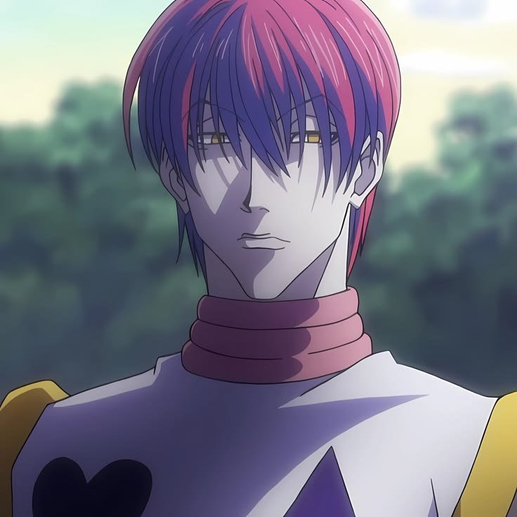 Hisoka Morow — Image 31